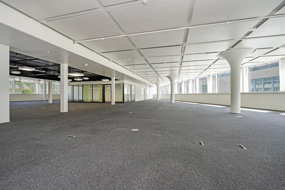 Openspace Büro - Flexibel & Anpassungsfähig, perfekt für Ihr Business!