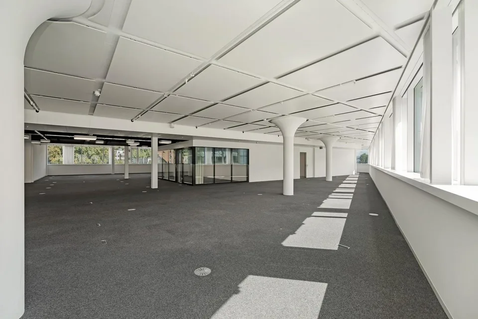 Openspace Büro - Flexibel & Anpassungsfähig, perfekt für Ihr Business!