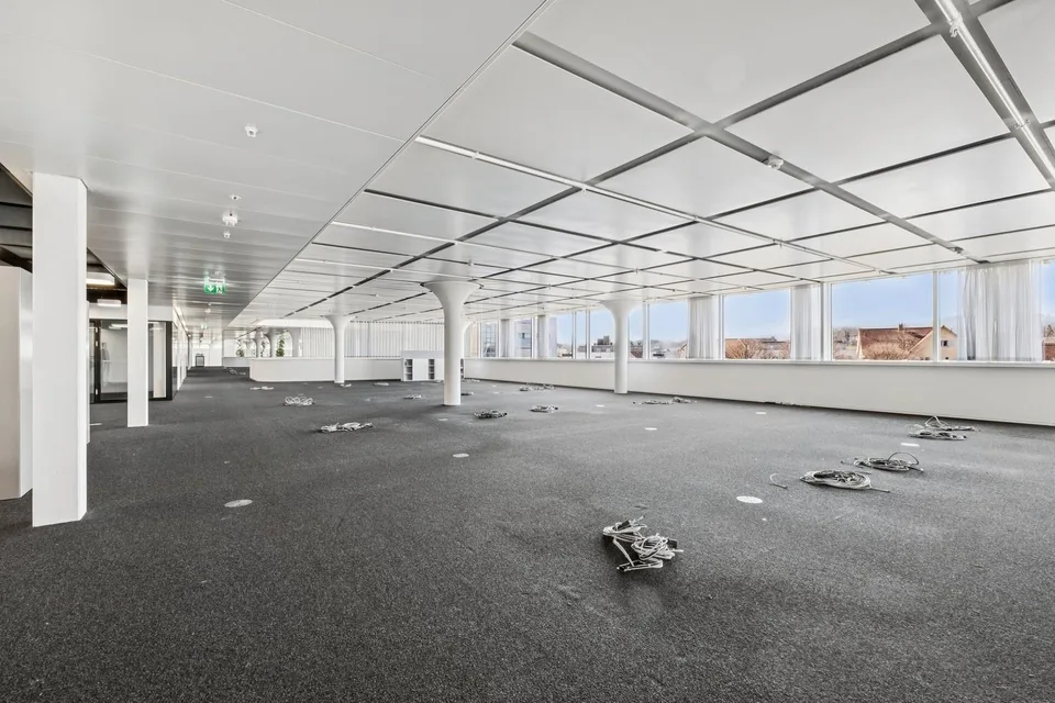 Openspace Büro - Flexibel & Anpassungsfähig, perfekt für Ihr Business!