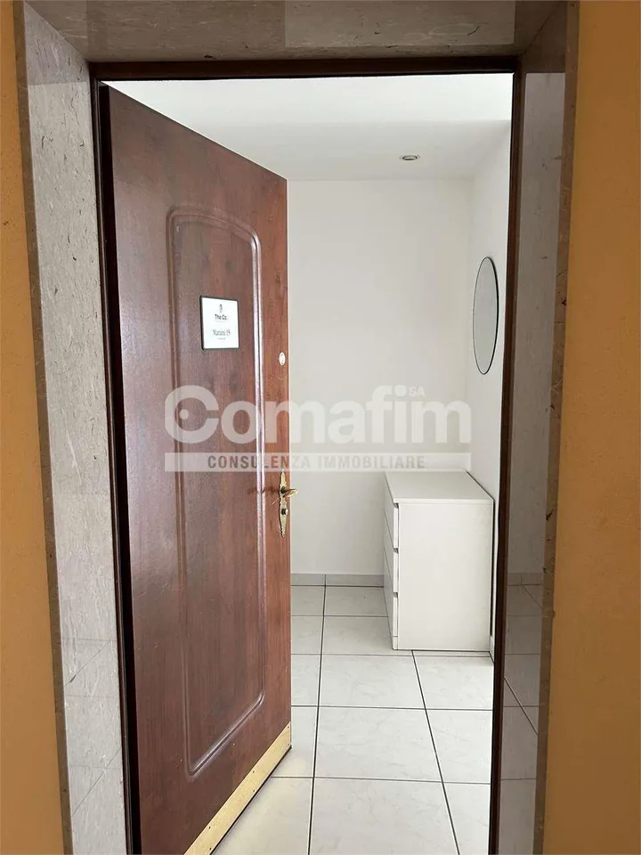 Stupendo 4.5 locali arredato con vista lago