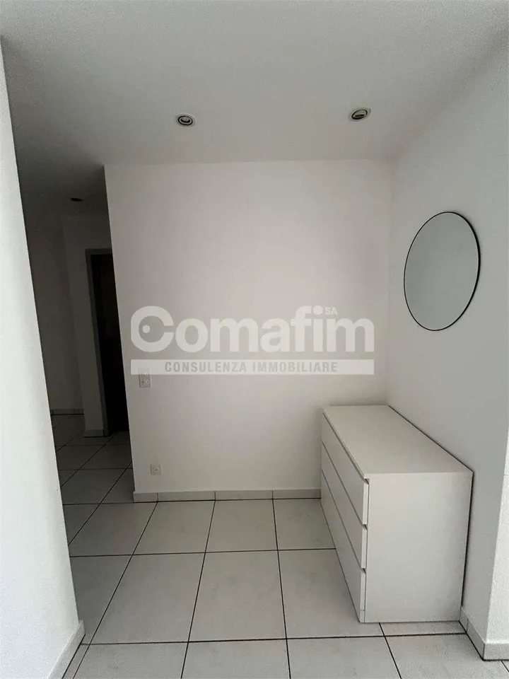 Stupendo 4.5 locali arredato con vista lago