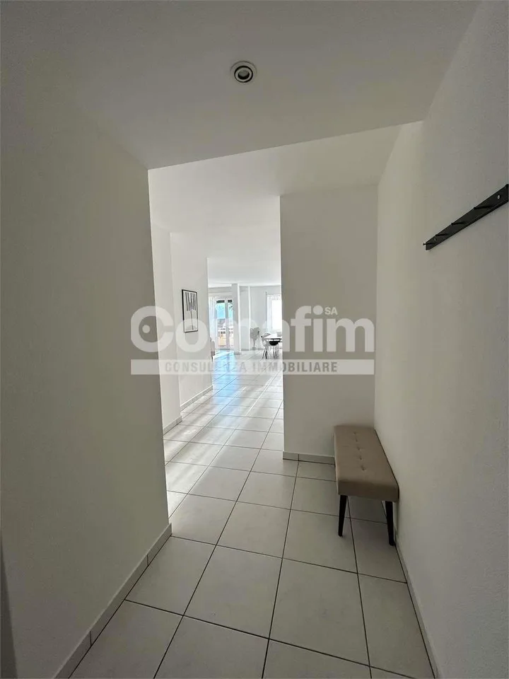 Stupendo 4.5 locali arredato con vista lago