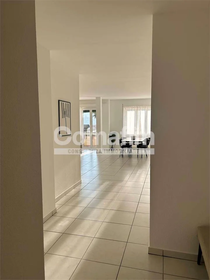 Stupendo 4.5 locali arredato con vista lago