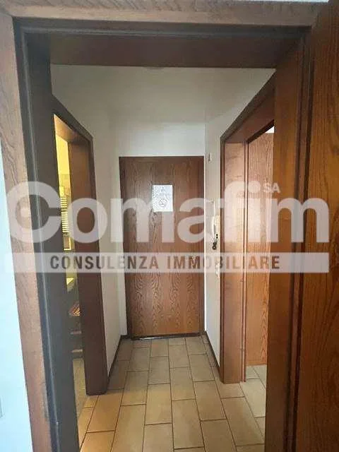 Monolocale Zeta con cucina separata a Lugano – photo 10 sur 13