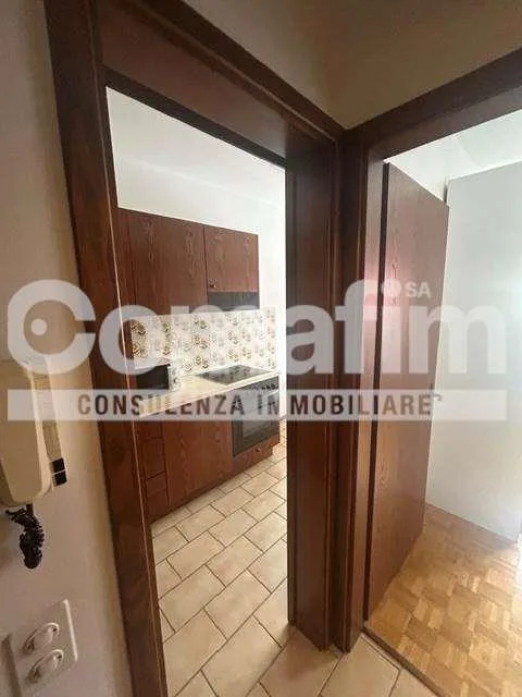 Monolocale Zeta con cucina separata a Lugano – photo 11 sur 13