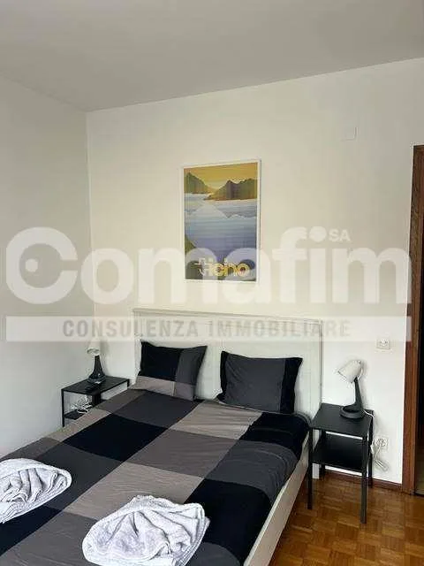 Monolocale Zeta con cucina separata a Lugano