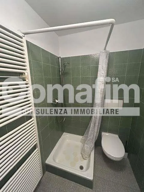 Monolocale Zeta con cucina separata a Lugano – photo 12 sur 13