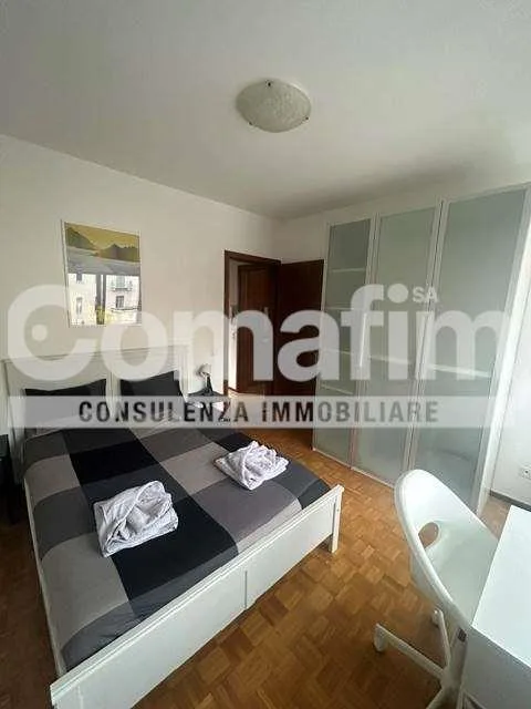 Monolocale Zeta con cucina separata a Lugano