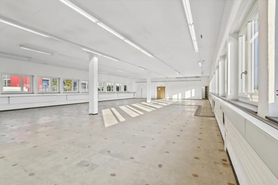Ihr neues Büro in der nähe vom Greifensee?
