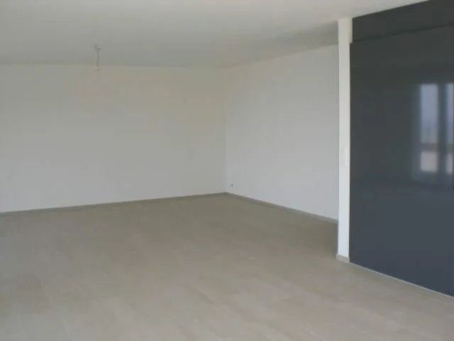 Wohnen über dem Bodensee in Minergiehaus
