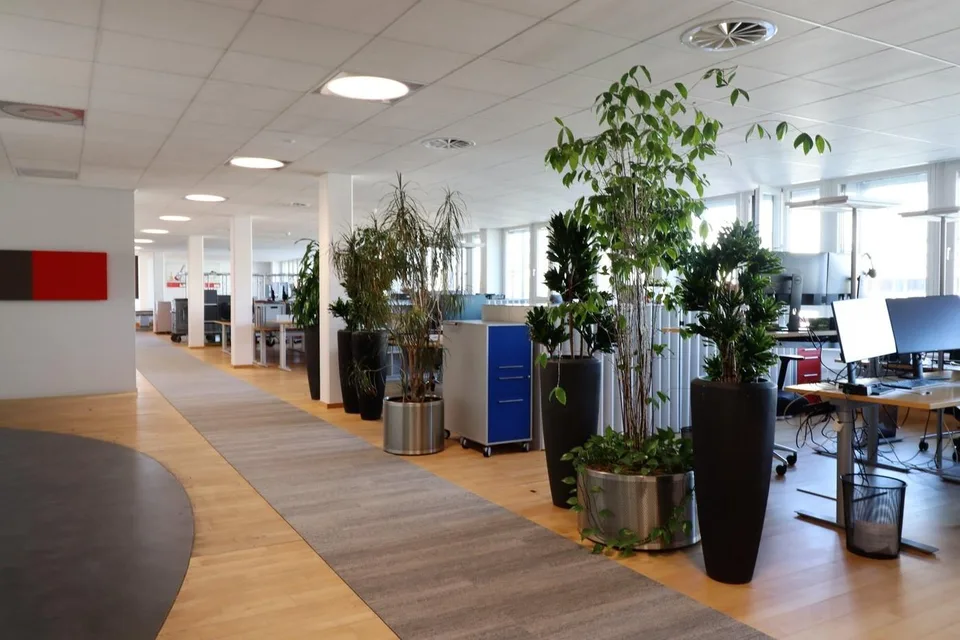 Freie Gewerbefläche von total 4'376 m²