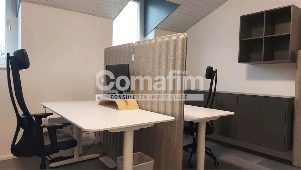 TheCo. Working Spaces - Prenota su www.the-co.ch – foto 9 di 13
