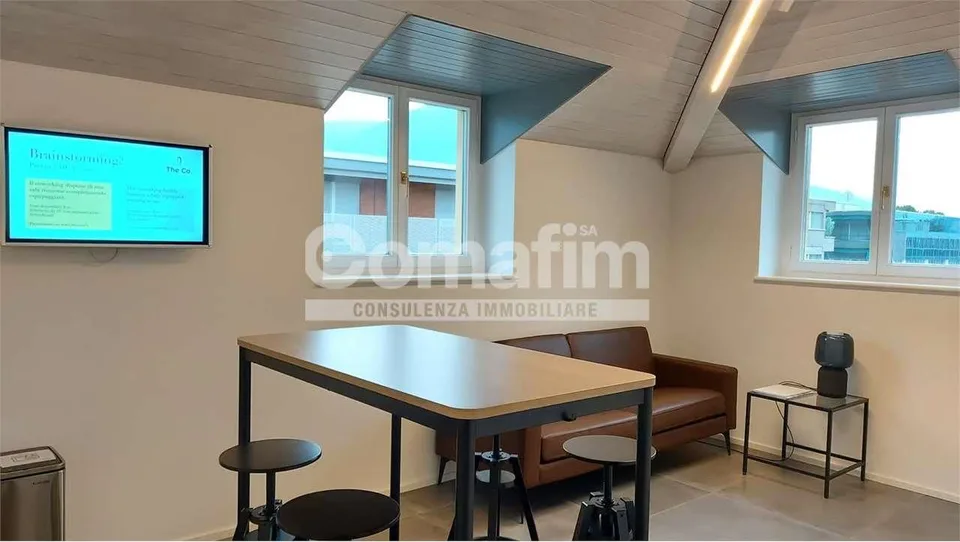 TheCo. Working Spaces - Prenota su www.the-co.ch – foto 10 di 13