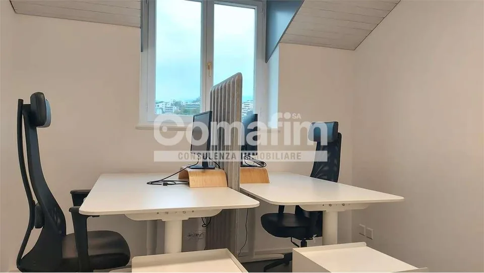 TheCo. Working Spaces - Prenota su www.the-co.ch – foto 8 di 13