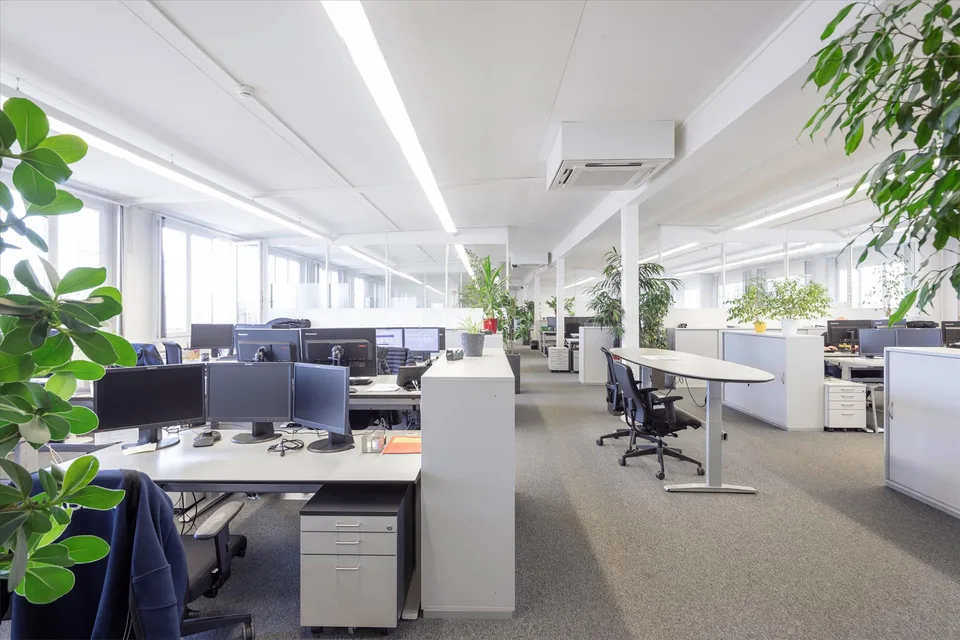 Werkplatz Altenrhein - hier gibt es Platz um zu wachsen! – foto 7 di 7
