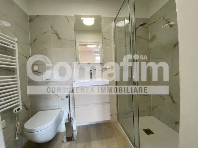 Appartamento ammobiliato a Lugano