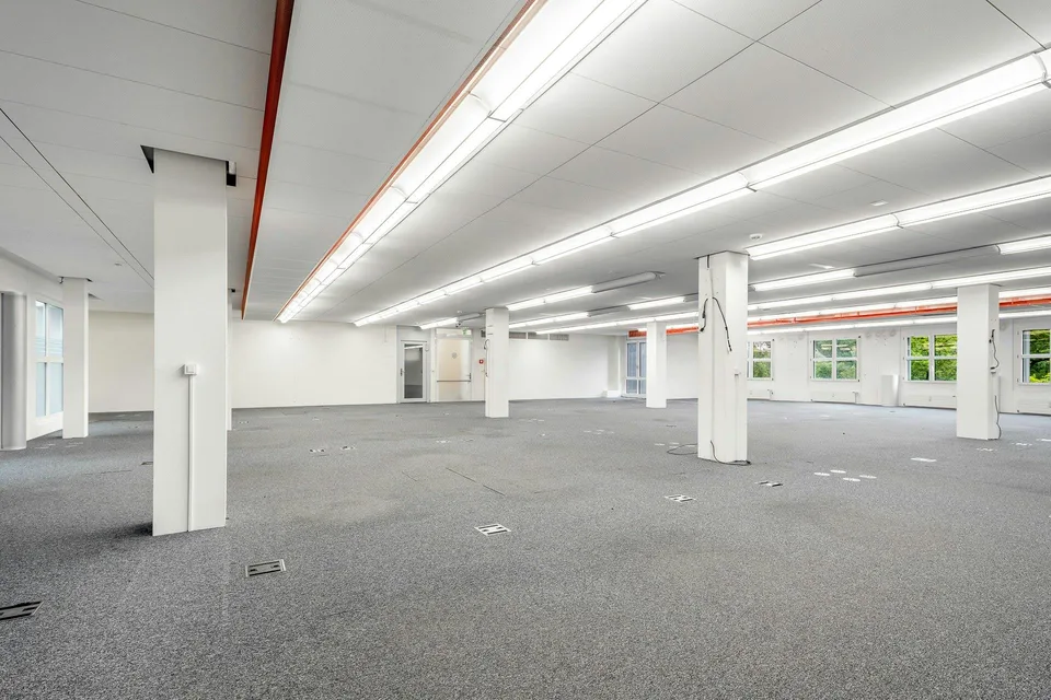 PLAZA | Gewerbefläche mit Potenzial - 350 m² für Ihr Business