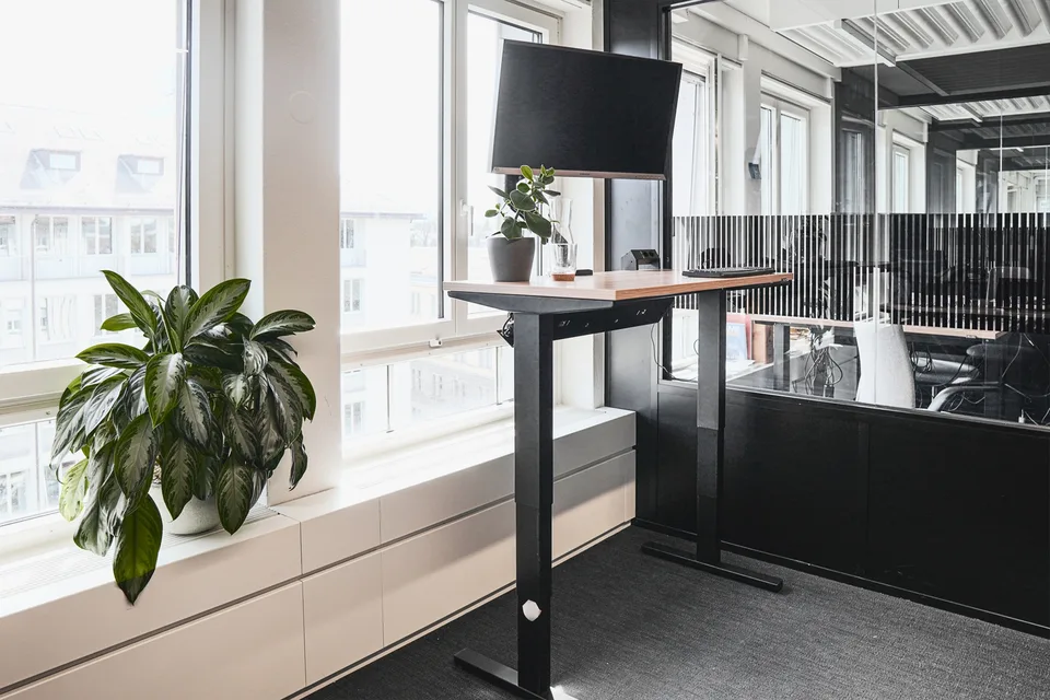 Lichtdurchflutetes Office im Herzen der Stadt Zürich