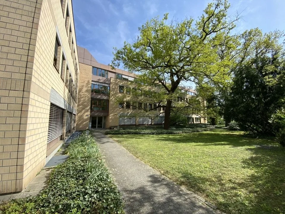 Einzelbüros mit Infrastruktur im Gellertquartier