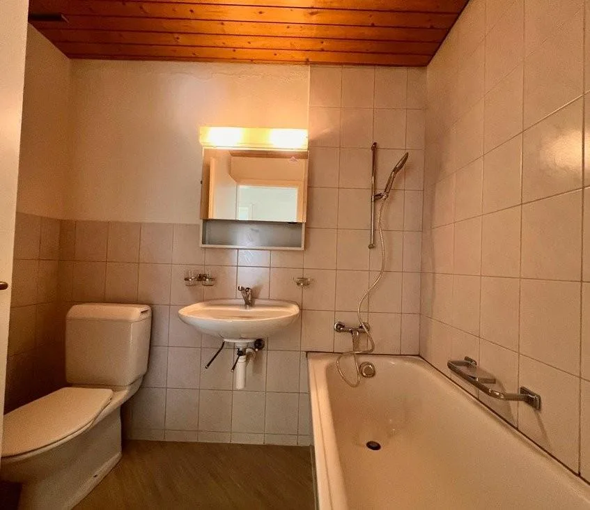 Cerca una nuova casa?