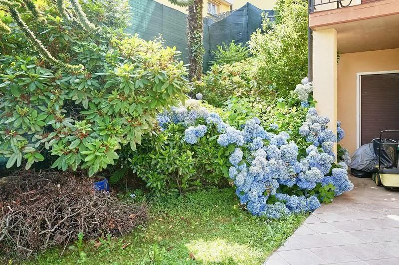 2 1/2-Zimmer-Gartenwohnung mit Seesicht   /  appartamento con bel g...