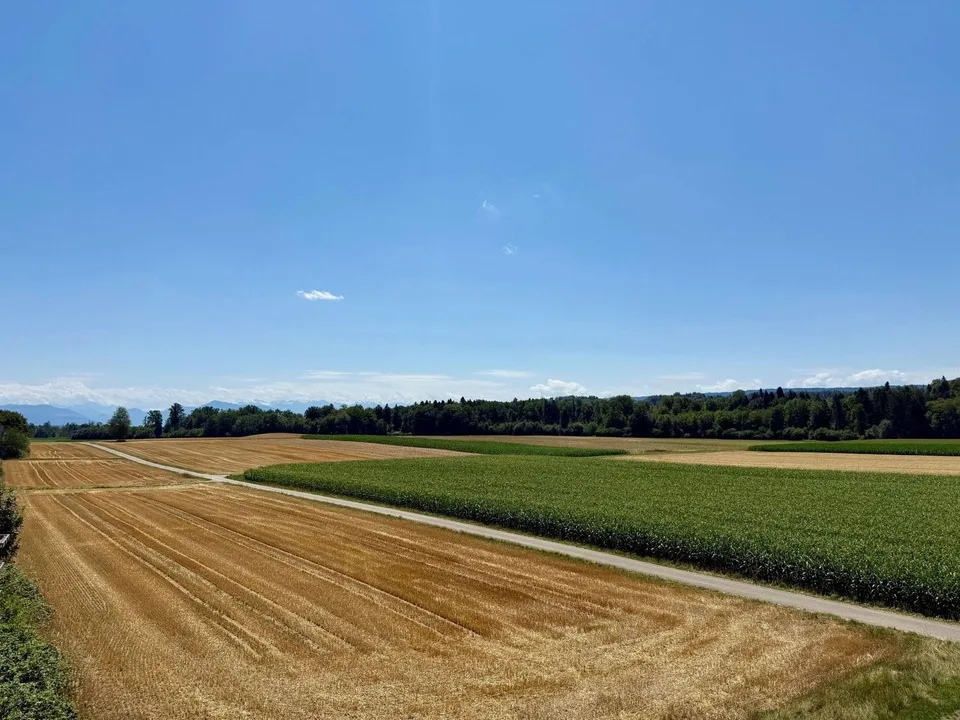 Grosszügige 5.5-Zimmerwohnung mit Terrasse, Bergsicht und Schwedenofen