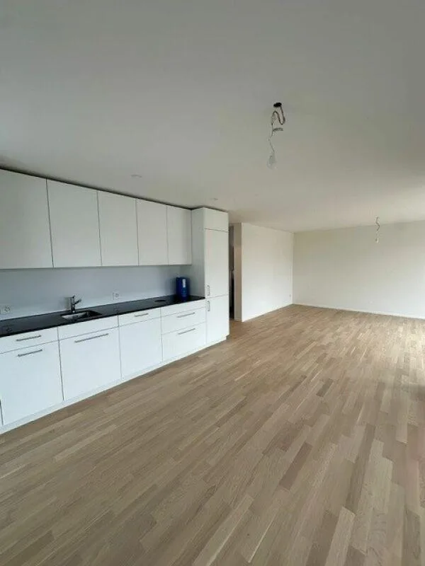Appartement de 3,5 pièces neuf à louer dans un emplacement central à Hedingen