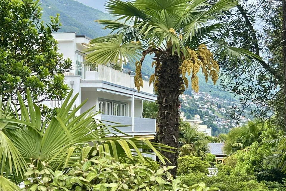 Charming 3.5 room apartment in sunny location with partial lake view and communal indoor pool – photo 16 of 30