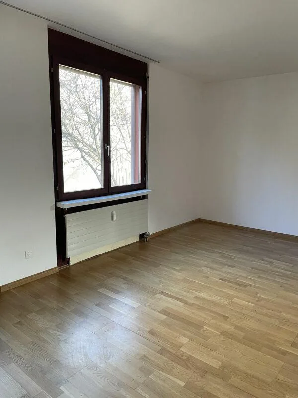 3-Zimmerwohnung in Allschwil