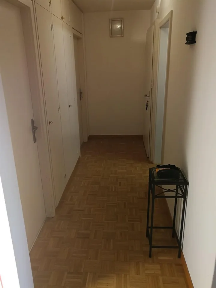 Traumsicht auf den Zürichsee!