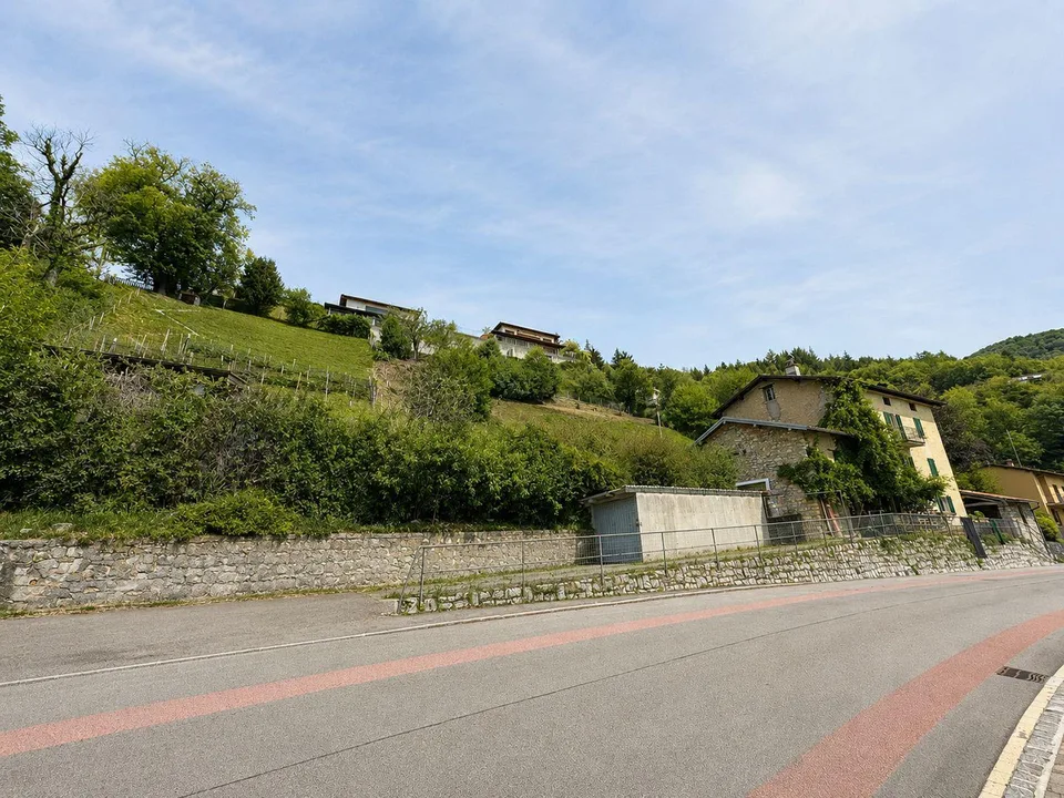 Characteristic property to be renovated with large buildable land and three additional woodland plots
