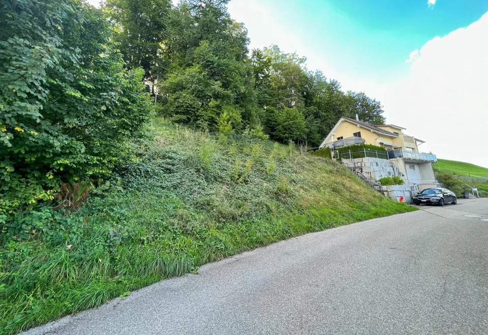 Modernes Neubau-Doppeleinfamilienhaus mit idyllischem Naturpanorama