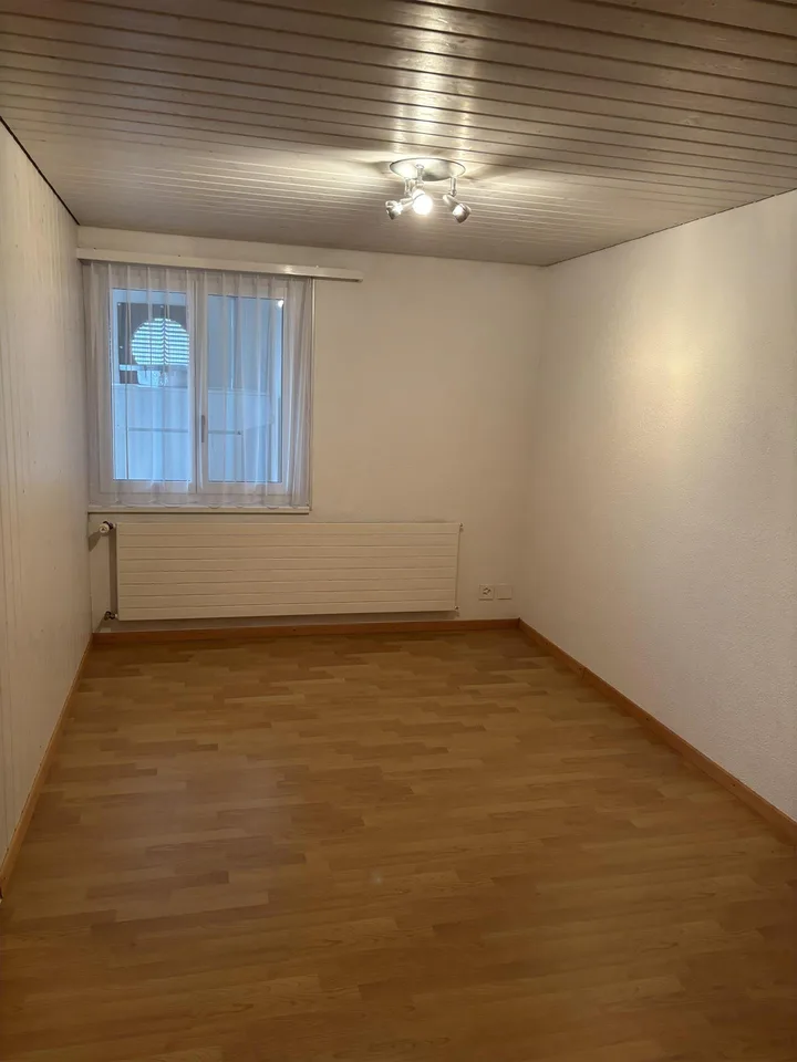 3 1/2-Zimmer Wohnung Untergeschoss