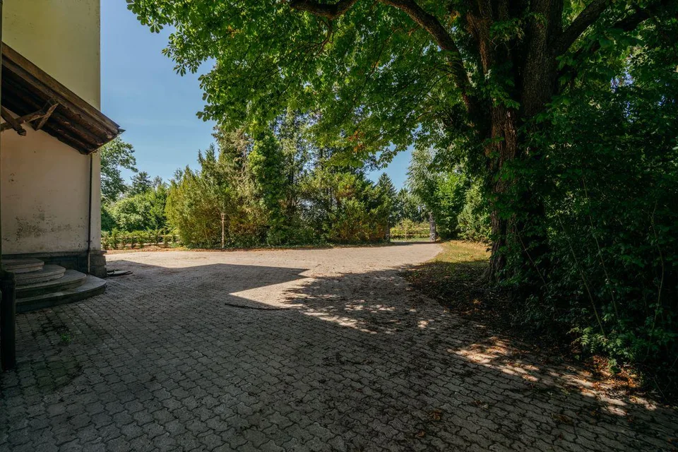 Villa Dreifuss - Wo Geschichte ein neues Kapitel schreibt