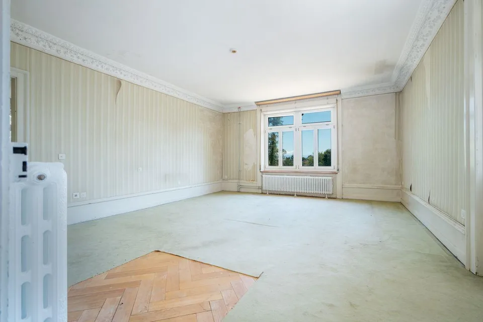 **RESERVIERT**Villa Dreifuss - Wo Geschichte ein neues Kapitel schr... – Foto 12 von 13