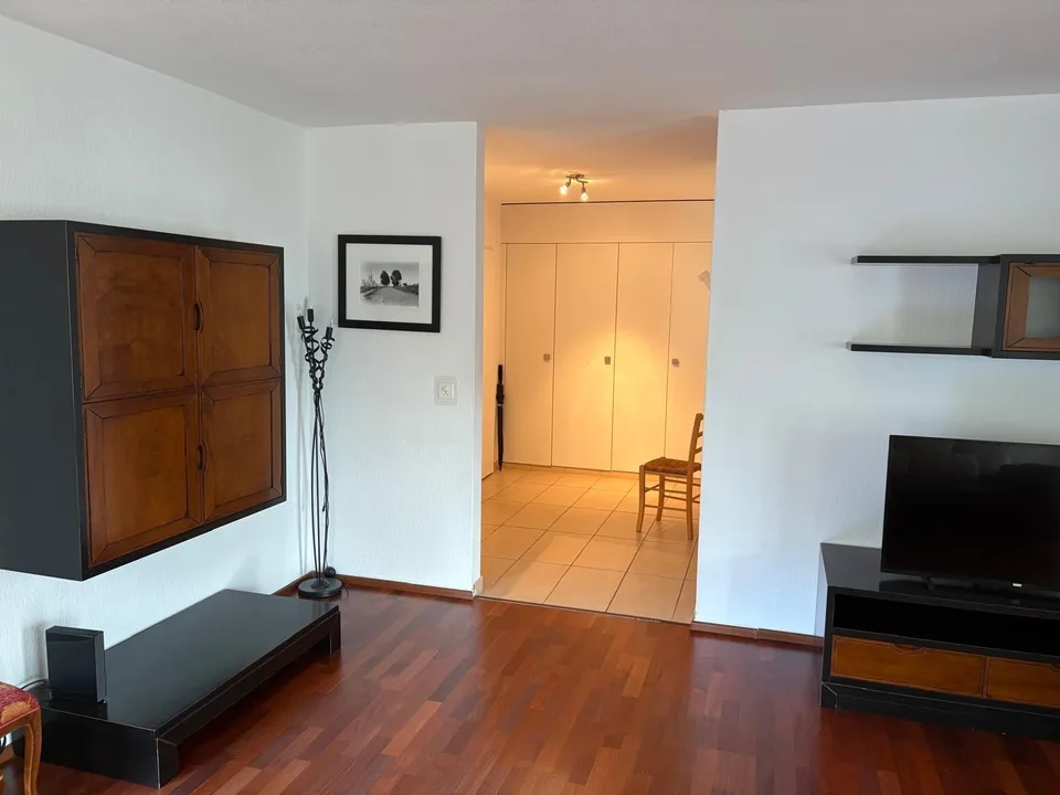 Beautiful Apartment by Zurich lake