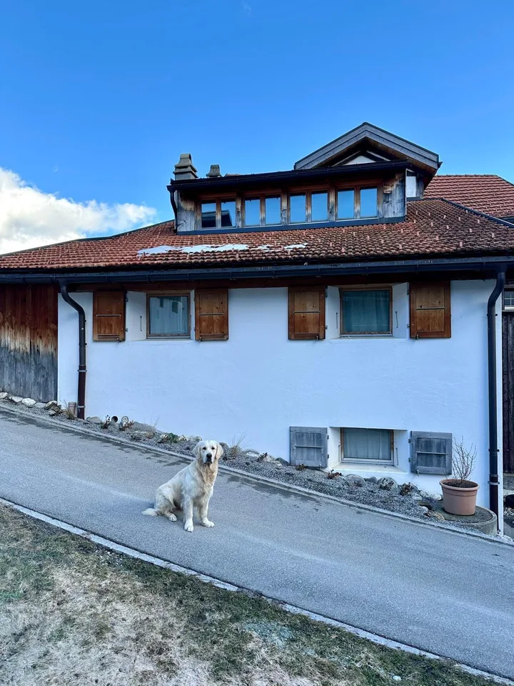 Ein Bijou in den Bündner Bergen-Charmantes 4.5-Zimmer-Einfamilienhaus