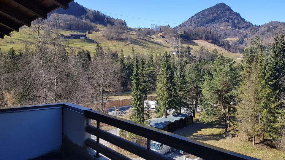 1 1/2 Zimmer Wohnung