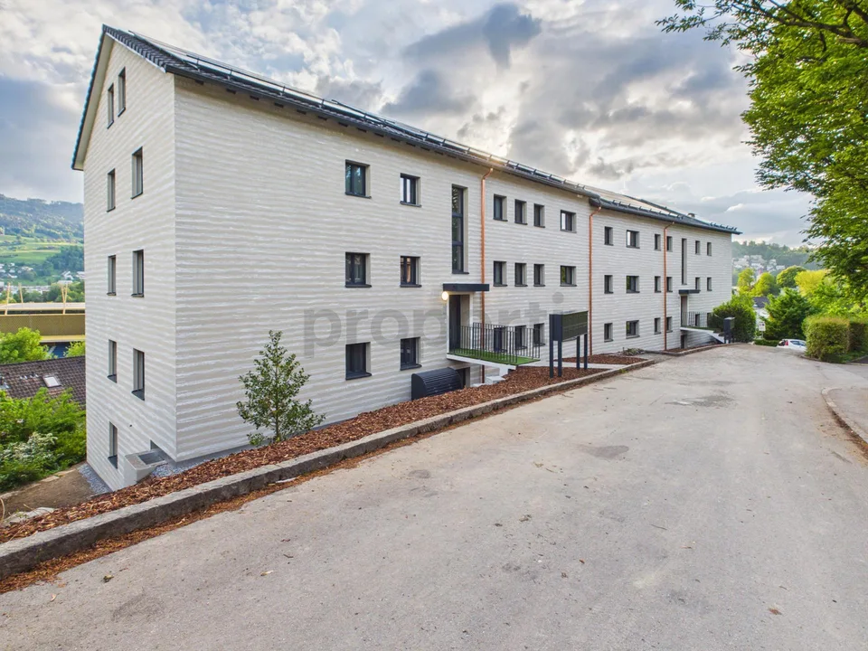 Neu renovierte 1.5-Zimmer-Apartment mit Kellerraum, Luzern