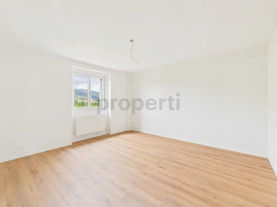 Neu renovierte 1.5-Zimmer-Apartment mit Kellerraum, Luzern