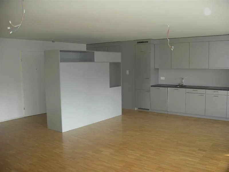 Attraktive 4.5 Zimmerwohnung im Zentrum von Basel