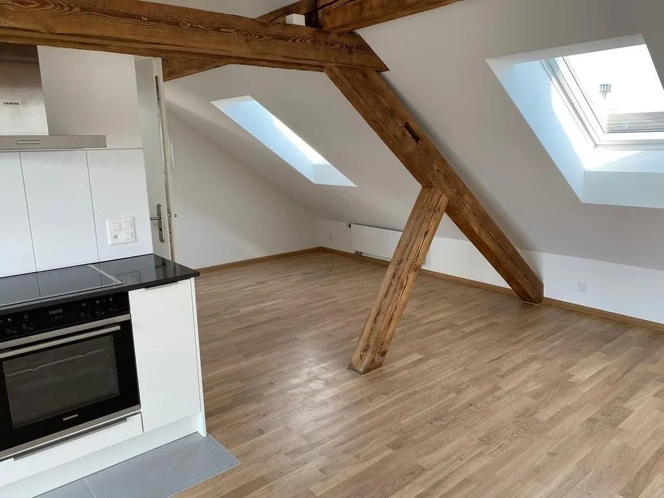 gemütliche Dachwohnung mit grosser Terrasse