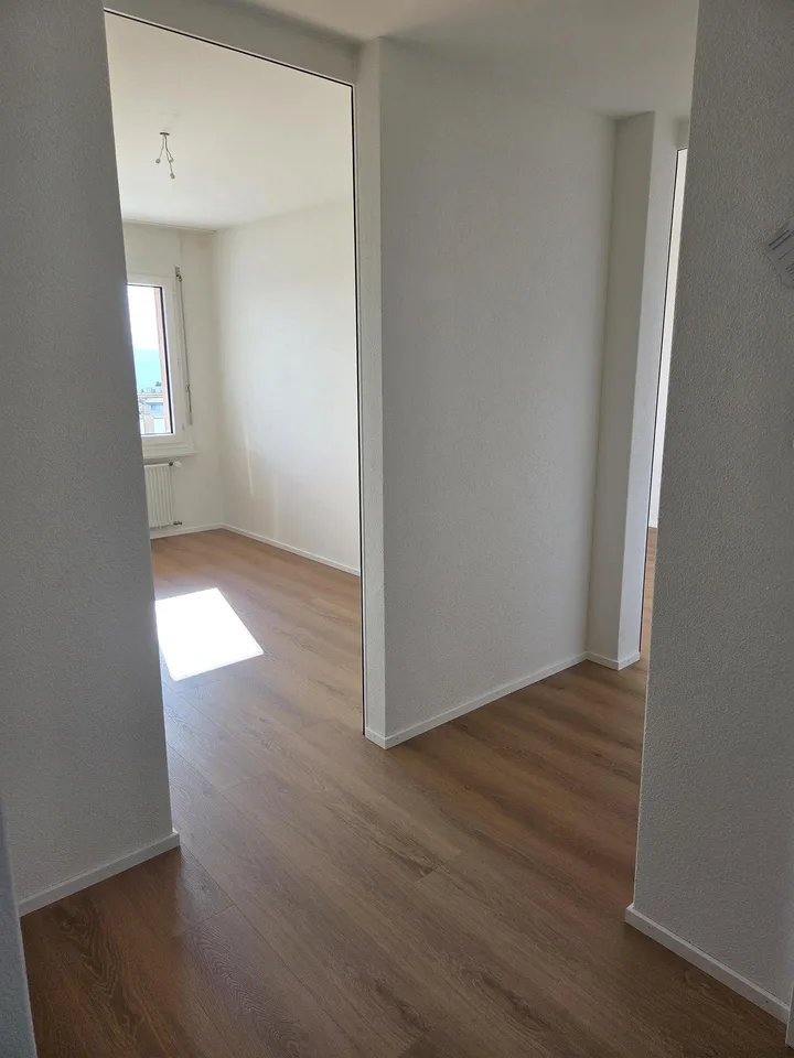 1102 4031 4 1/2 Zimmerwohnung, 3. OG