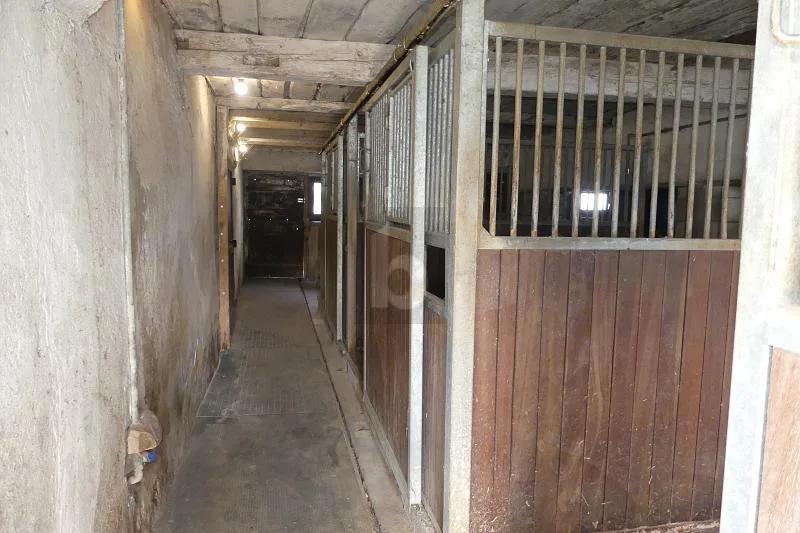 MAISON DE CAMPAGNE ( IDÉAL POUR ANIMAUX )
