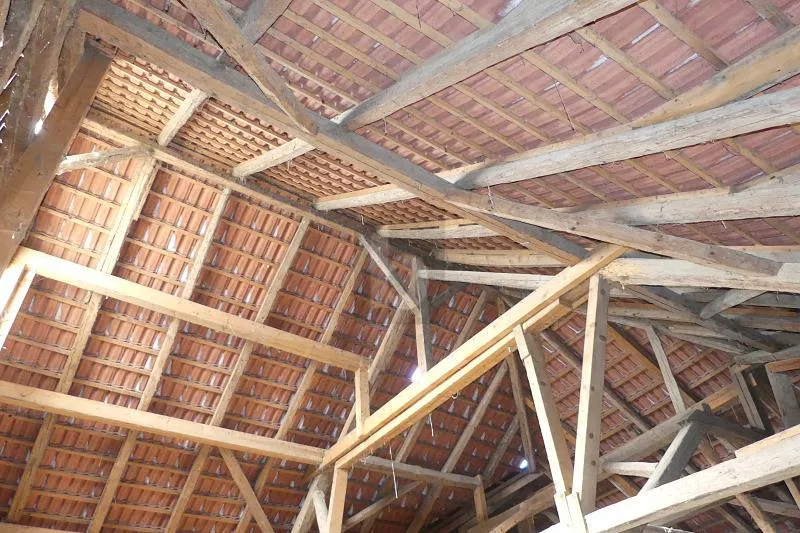 MAISON DE CAMPAGNE ( IDÉAL POUR ANIMAUX )