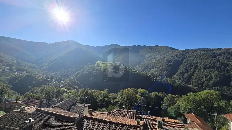 SOLEGGIATA CON GIARDINO