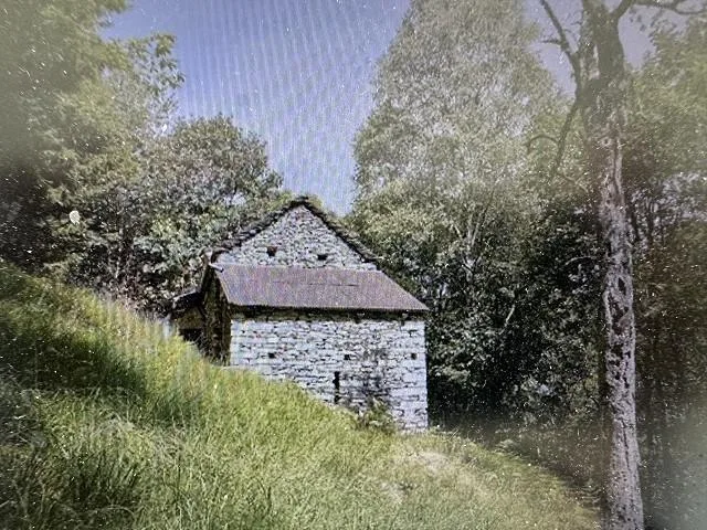 zwei Rustico zum Ausbauen mit viel Land an sehr ruhiger, sonniger A...