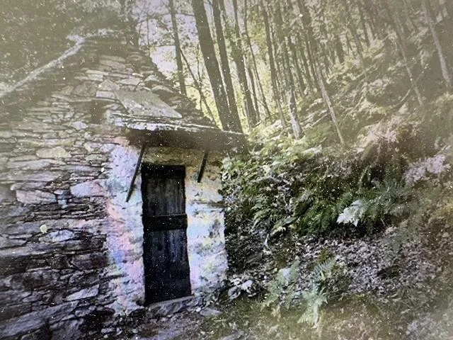 zwei Rustico zum Ausbauen mit viel Land an sehr ruhiger, sonniger A... – Foto 17 von 20