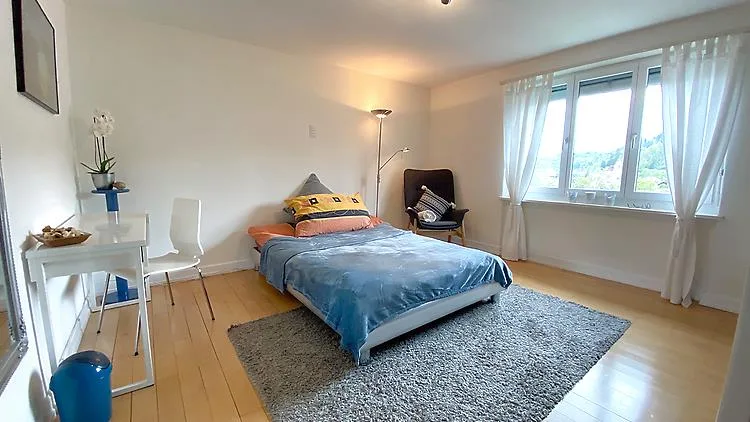 5 ZIMMER-HAUS IN WINTERTHUR - TÖSS, MÖBLIERT, TEMPORÄR