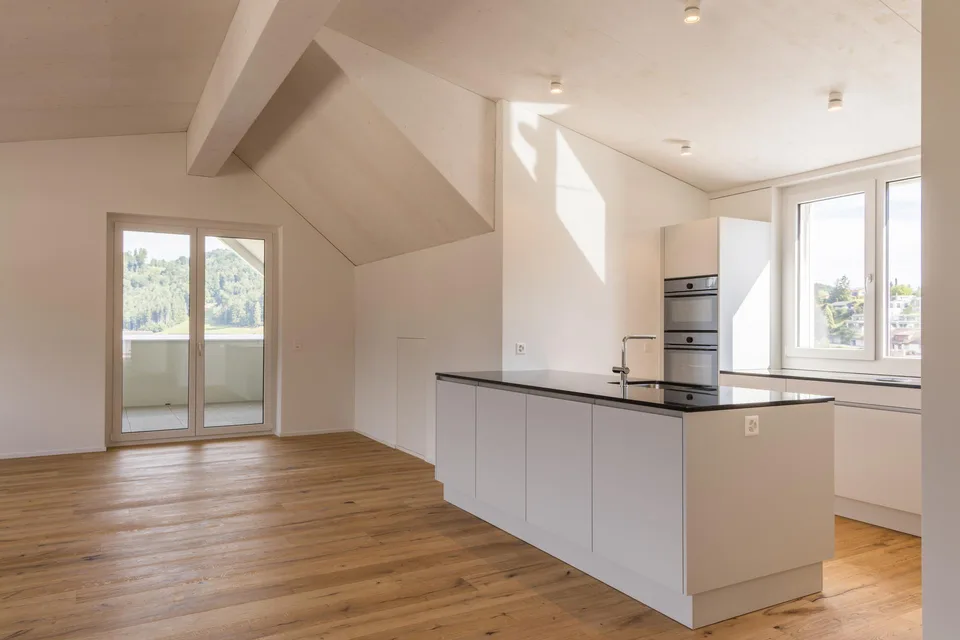Appartement penthouse spacieux et neuf avec vue dégagée et nature